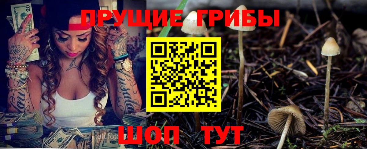Галлюциногенные грибы мицелий Карачаевск